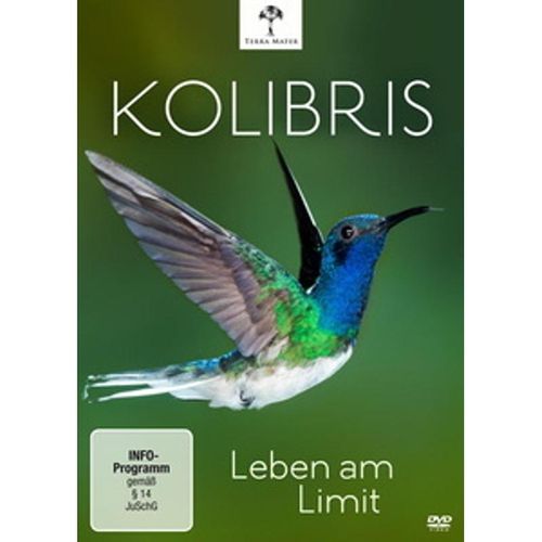 Kolibris - Leben am Limit (DVD)
