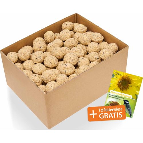 100x Meisenknödel ohne Netz, Fettfutter für Wildvögel, 9000g Vogelfutter