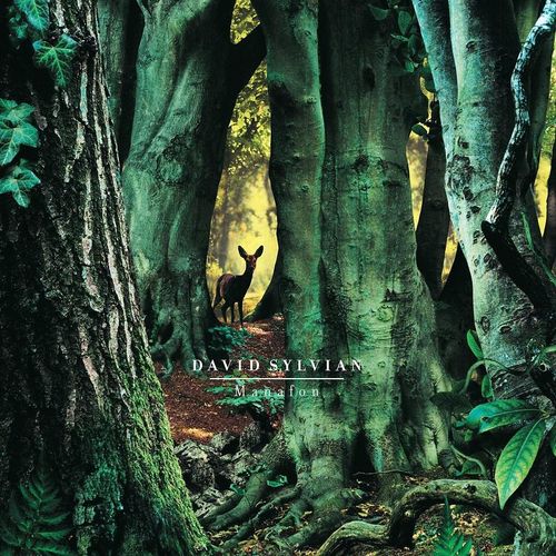Manafon - David Sylvian. (LP)