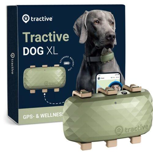 Tractive DOG XL - GPS Tracker Hund mit längerer Akkulaufzeit | EXKL. ABO | TRDOG4XLGR | grün