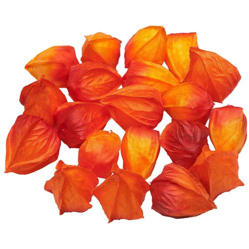 Deko-Physalis, 24 Stück