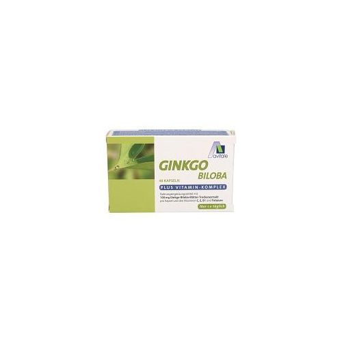 GINKGO 100 mg Kapseln+B1+C+E 48 St