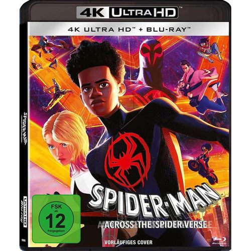 Spider-Man: Across the Spider-Verse (Blu-ray)