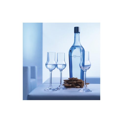 montana-Glas Likörglas »Pure 60 ml«, (6 tlg.)