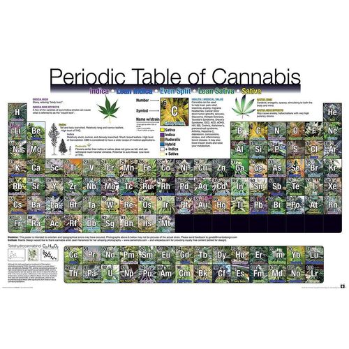 GB eye Poster Periodic Table Of Cannabis Periodensystem der Hanfsorten 91