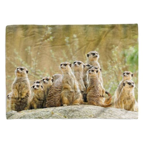 Sinus Art Handtücher Handtuch Strandhandtuch Saunatuch Kuscheldecke mit Tiermotiv Erdmännchen Famili