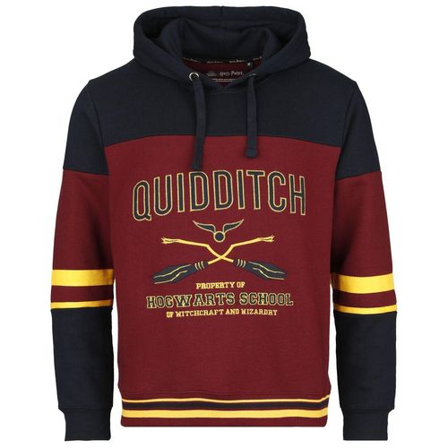 Harry Potter Gryffindor - Hogwarts School Kapuzenpullover multicolor in S