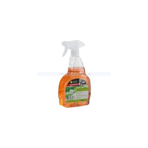 Badreiniger Actae Verde Kalklöser Spray 750 ml Badreiniger & Kalklöser mit Frischeduft, Ecolabel