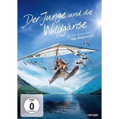 Der Junge und die Wildgänse (DVD)