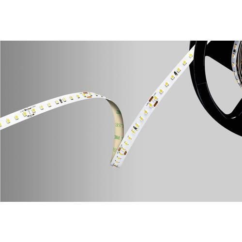 Barthelme 51542234 LED-Streifen 24 V 5000 mm Kaltweiß 5 m