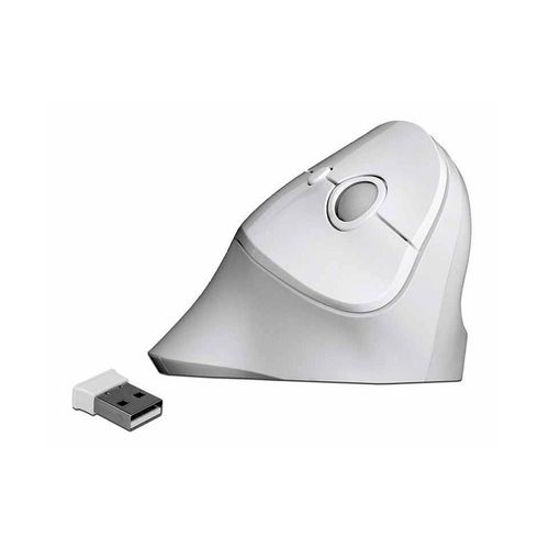 Delock ergonomische Maus »Delock Ergonomische Maus 12596 USB«