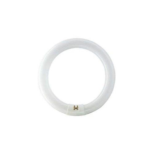 Philips Fluoreszierende Glühbirne Master TL-E Cirkular 40W/840 G10q
