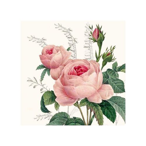 Braun&company - Servietten Motiv Wonderful Rose 25x25cm 20er Pack Tischdeko