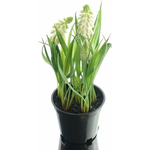 Sperling – deko® florale Traubenhyazinthen – Muscari Weiß im Topf 21 cm – Kunstblumen