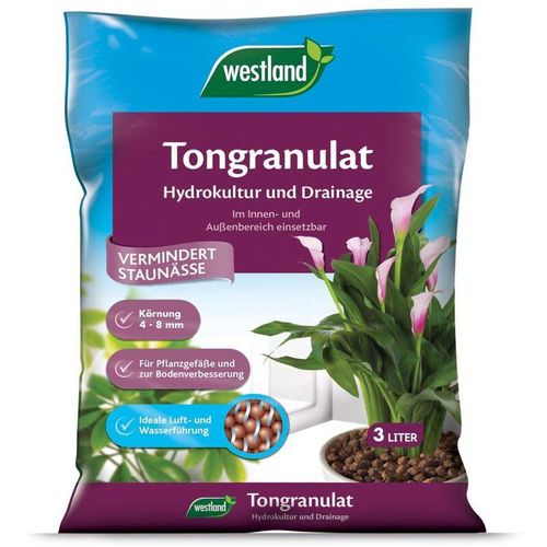 Westland - Tongranulat