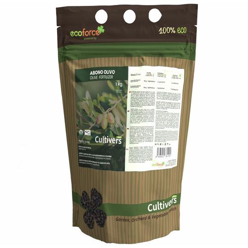 Kultiver kolische Olivenzahlung 1 kg
