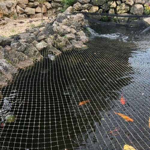 Aquaristikwelt24 – Teichabdecknetz 5x4m Teichnetz Teichschutz Fischreiher Laubschutz Abdecknetz