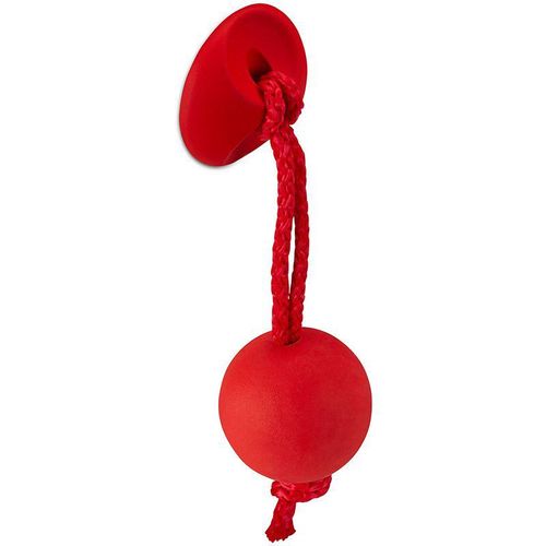 So-tech – Kindermöbelknopf chamäleon 30 x 98 x 28 mm Kunststoff rot – Oberfläche: rot