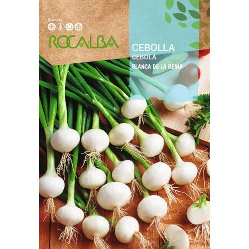 Rocalba – seed weisse Zwiebel Queen (Schnittlauch) 100g