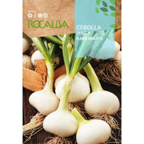 Rocalba – seed Blanca Barletta-Temprana Zwiebel 100g