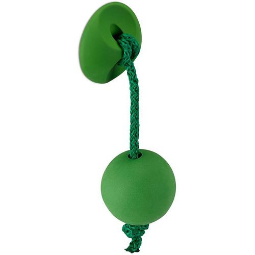 Kindermöbelknopf chamäleon 30 x 98 x 28 mm Kunststoff grün hell – Oberfläche: grün hell