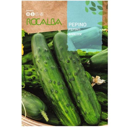 Rocalba - seeds gucumber Vermarkter 10 gr, Pack 5x