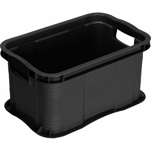 Aufbewahrungsbox Agilo A3 55 l schwarz 59 x 39 x 31 cm (l x b x h) Aufbewahrungsbox – Rotho