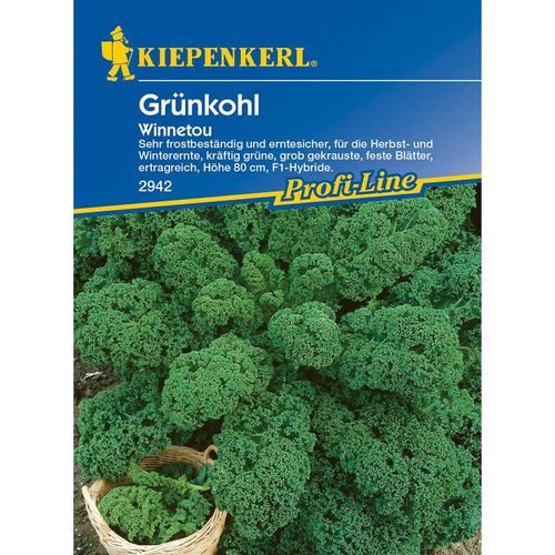 Kiepenkerl - Grünkohl Winnetou - Gemüsesamen