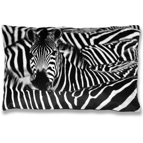 Kissenbezug mit Fotodruck ca. 40x60cm, Flauschig weich, in weiteren Motiven verfügbar ( Design: zebra ) – Zebra