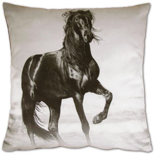 Kissenbezug Fotodruck Motiv in 40×40 cm, Flauschig weiche Kissen-Hülle in vielen Motiven erhältlich ( Design: Pferd ) – Pferd