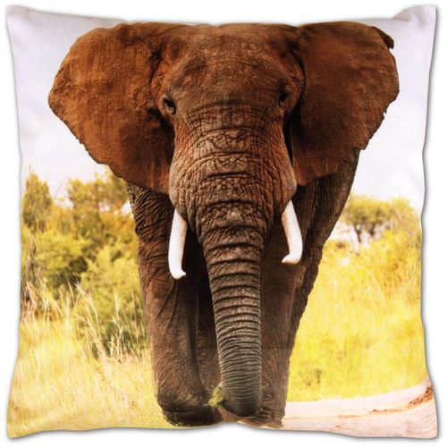 Kissenbezug mit Fotodruck ca. 40x40cm, Beidseitig bedruckt, in vielen Motiven verfügbar ( Design: elefant / elefant ) – Elefant