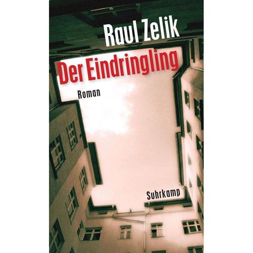 Der Eindringling - Raul Zelik, Taschenbuch