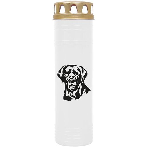 Grabkerze Grablicht - mit Motiv ( Hund Labrador ) - ca 100h / 4 Tage Brenndauer je Kerze ( 25cm, ø 7cm ) - viele versch. Deisgns - Hund Labrador