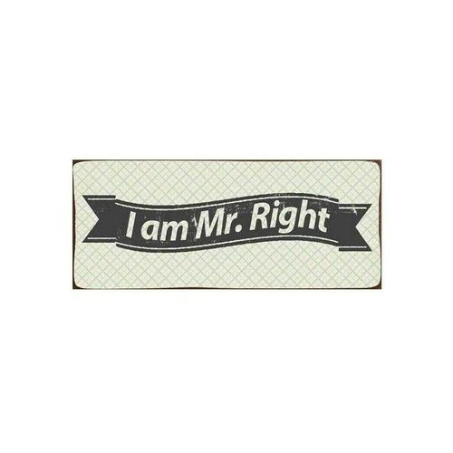 Blechschild - i am Mr. Right - Schild im Antik Look - Metallschild