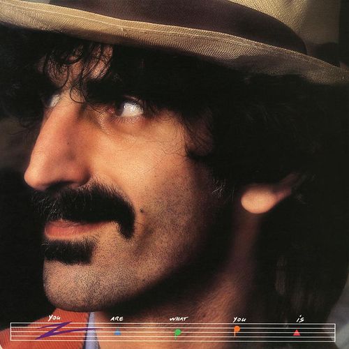 You Are What You Is - Frank Zappa. (CD)