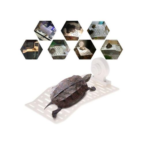 Schwimmende kunststoffinsel mit saugnapf plattform schildkröten reptilien aquarium
