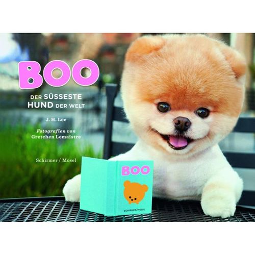 Boo - Der süßeste Hund der Welt, Gebunden