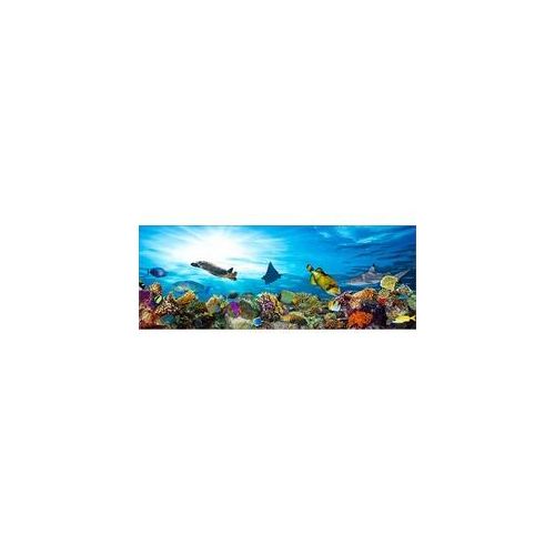 Deco-Glas Bild – Aquarium 80 x 30 cm