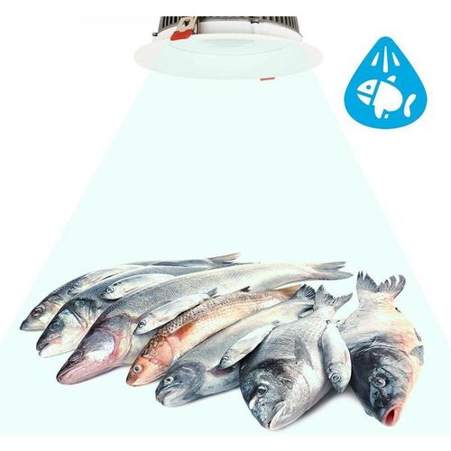 Led Einbaustrahler Fisch Meeresfrüchte 30W Ø210 mm