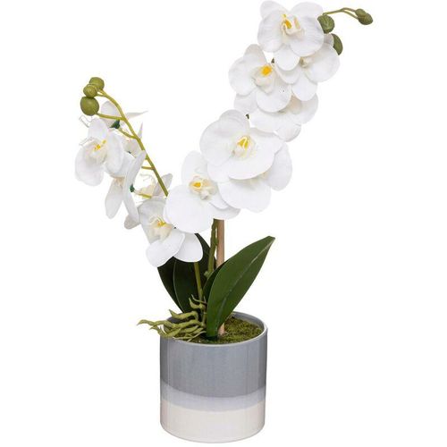 Künstliche Orchidee H45cm - Grau - Grau