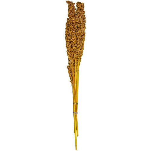 Strauß aus getrockneten Pflanzen H74cm – Gelbe hirse – Model 3