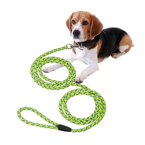 Relaxdays Hundeleine reflektierend, 2,5 m lang, mit Schlaufe, Leine für kleine & mittelgroße Hunde, bis 17 kg, grün/grau