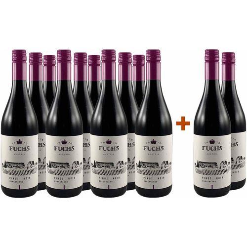 Fuchs 2022 10+2 Burgenland Pinot Noir trocken