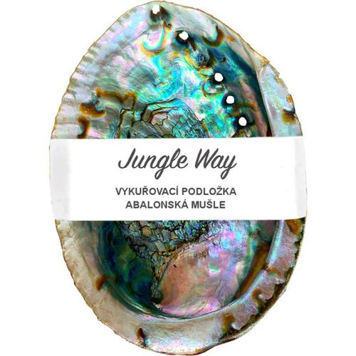 Jungle Way Abalone Shell smudge-schaal 1 st