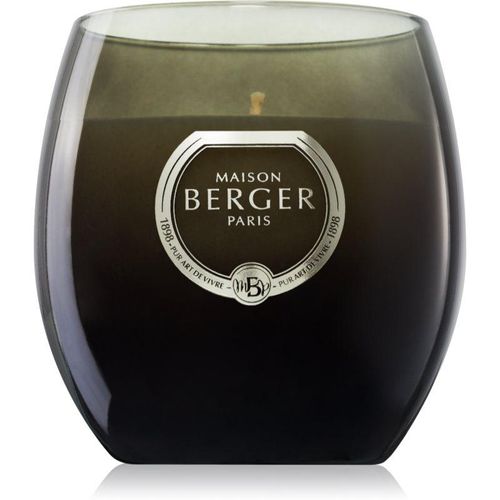 Maison Berger Paris Holly Amber Powder geurkaars 200 g