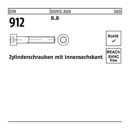Zylinderschraube DIN 912 m.Innensechskant M 36 x 250 8.8