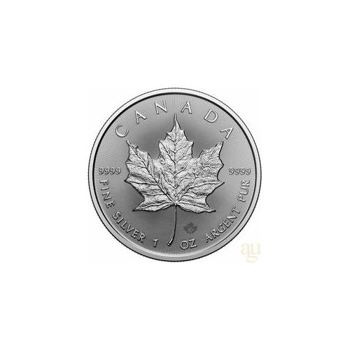 1 Unze Silbermünze Maple Leaf 2024