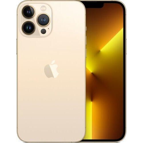 iPhone 13 Pro Max | 256 GB | Dual-SIM | gold