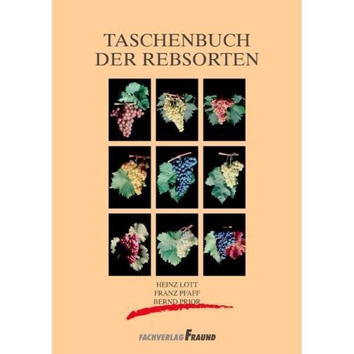 Taschenbuch der Rebsorten - Heinz Lott, Franz Pfaff, Bernd Prior, Kartoniert (TB)
