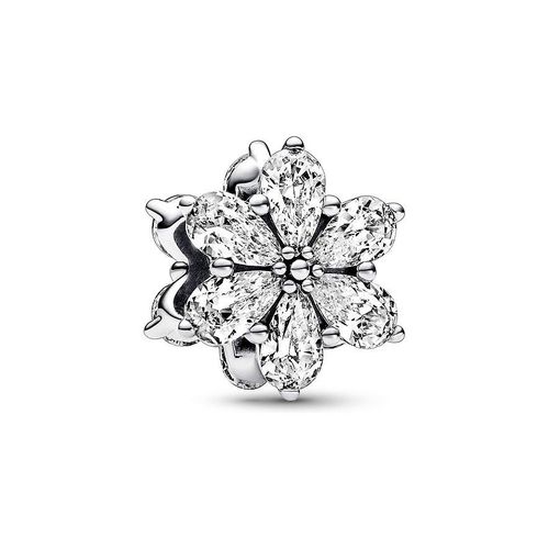 Pandora Charm Timeless 792623C01